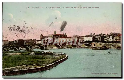 Cartes postales Toulouse Le Pont Neuf La Ganonne Et La prairie des filtres