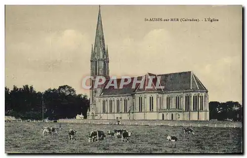 Cartes postales St Aubin Sur Mer L&#39eglise Vaches