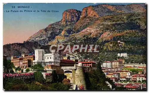 Cartes postales Monaco Le Palais du prince et la Tete de Chien