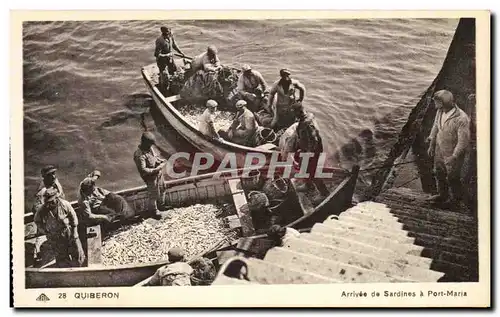 Cartes postales Quiberon Arrivee De Sardines a Port Maria Batea peche