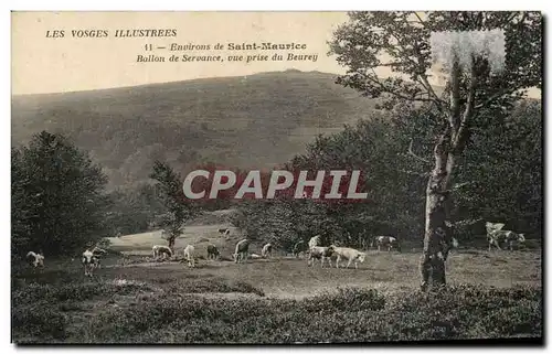 Cartes postales Les Vosges Illustrees Environs de Saint Maurice ballon de Servance Vue Prise du Beurey Vaches