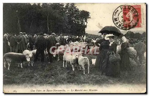 Cartes postales Une Foire en Basse Normandie Le Marche aux Moutons TOP