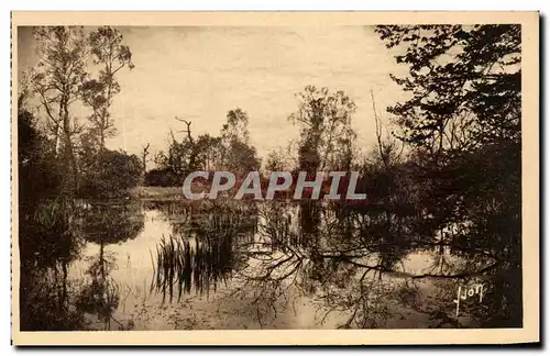 Ansichtskarte AK Fontainebleau Le Foret La mare aux Fees