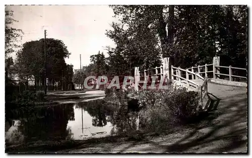 Cartes postales moderne Le Vesinet Bord du Lac des Ibis Le Pont