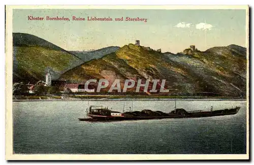 Ansichtskarte AK Kloster Bornhofen Ruine Liebenstein und Sternberg Bateau