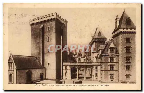 Cartes postales Pau Le Chateau Henri IV Donjon Facade Et Entree