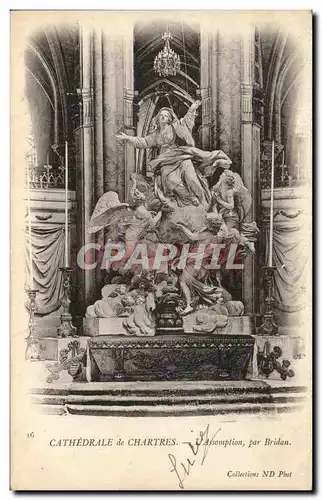 Cartes postales Cathedrale De Chartres L&#39Assomption Par Bridan