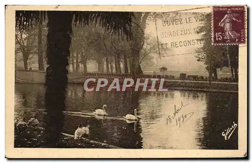 Ansichtskarte AK Bordeaux Dans le Jardin public Cygne