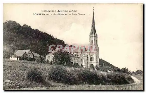 Cartes postales Collection Jeanne d'Arc domremy La Basilique et le Bois Chenu