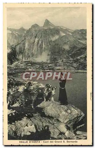 Cartes postales Valle d&#39Aosta Cani Del Grand S Bernardo Chiens