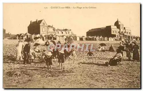 Cartes postales Cayeux Sur Mer La Plage Et Les Cabines