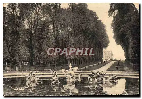 Cartes postales Versailles Bassin du Dragon et Allee d&#39Eau The Dragon Basin