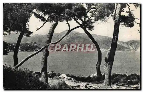 Cartes postales Menton Vue Prise du Cap Martin