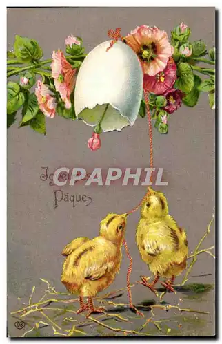 Cartes postales Fantaisie Poussins oeufs