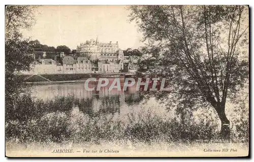 Cartes postales Amboise Vue Sur Le Chateau