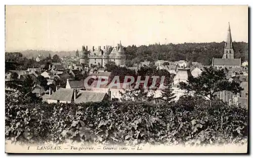 Cartes postales Langeais Vue Generale