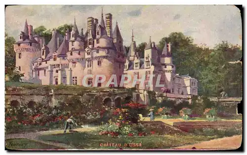 Cartes postales Chateau d&#39Usse