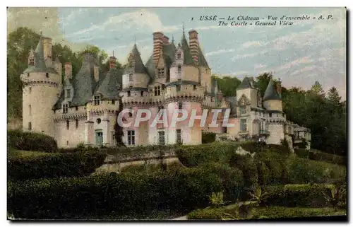 Cartes postales Usse Le Chateau Vue D&#39Ensemble