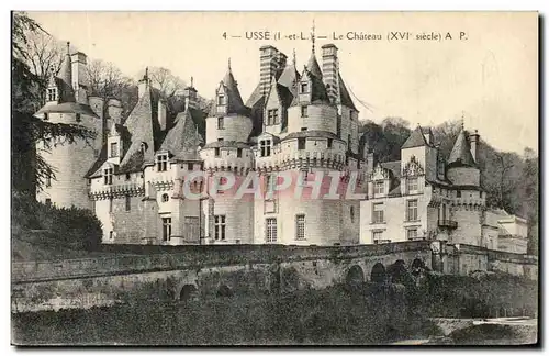 Cartes postales Usse Le Chateau