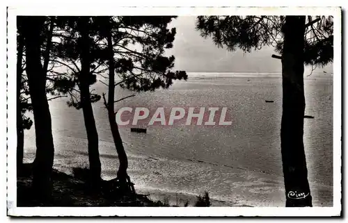 Cartes postales La Cote d&#39Argent Envir de Lacanau Ocean Le Moutchic Coucher de soleil sur le Lac