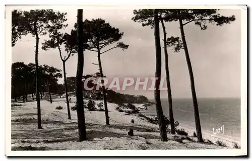 Cartes postales Le Moulleau Arcachon Le parc des Abatilles et Vue sur les passes du bassin