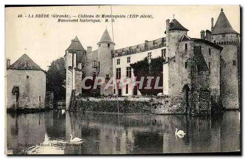 Ansichtskarte AK La Brede Chateau De Montesquieu Monument Historique Cygne