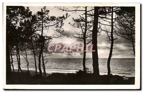 Cartes postales Lacanau Ocean Coucher De Soleil A Travers Les Pins Delbeau Chaponnet Grand Bazar Du Capitole