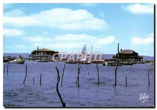 Cartes postales moderne Bassin d&#39Arcachon L&#39Lle Aux Oiseaux Au Centre Du Bassin d&#39Arcachon