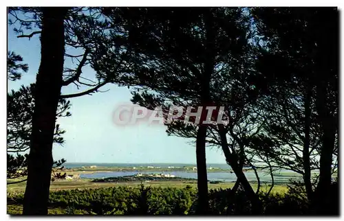 Cartes postales moderne amenagement Touristique Du Littoral Languedoc Roussillon Station Du Cap D&#39Agde