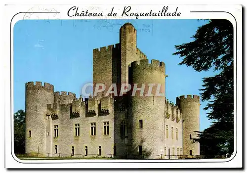 Cartes postales moderne Chateau De Roquetaillade