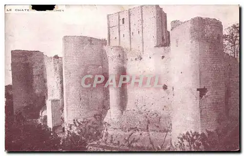 Cartes postales Le Chateau Loches