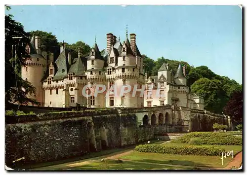 Cartes postales Couleurs Et Lumiere De France Val De Loire Rigny Usse Chateau