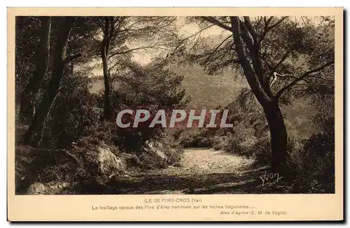 Cartes postales Ile De Port Cros Le Feuillage Soyeux Des Pins D'alpe Tremblant Sur Les Rochers