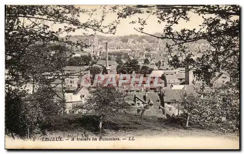 Cartes postales Lisieux A travers les Pommiers