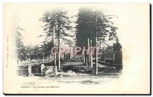 Cartes postales Auray Le Champ Des Martyrs