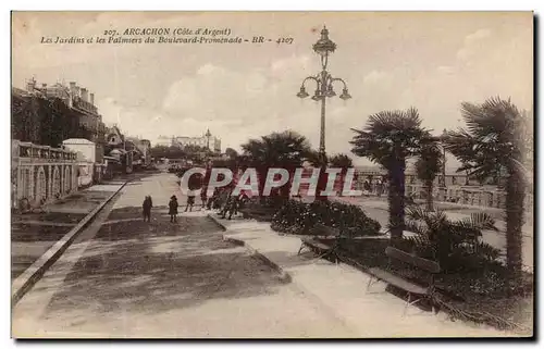 Cartes postales Arcachon Les Jardins et les Palmiers du Boulevard Promenade