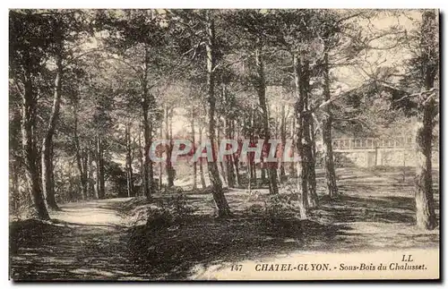 Cartes postales Chatel Guyon Sous Bois Du Chalusset