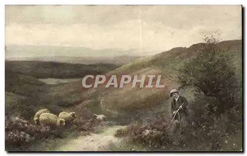 Ansichtskarte AK Paysage Berger et moutons