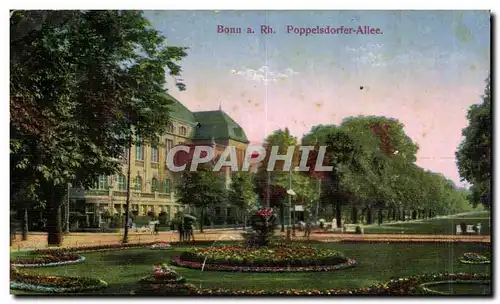 Cartes postales Bonn a Rh Poppelsdorfer Allee