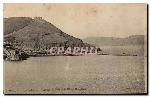 Ansichtskarte AK Oran L&#39Entree du Port et le Djebel Mourdjudjn