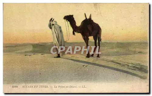 Cartes postales Scenes Et Types La Priere au Desert chameau