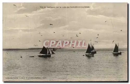 Cartes postales Vol de Goelands sur la rade des Sables D&#39Olonne