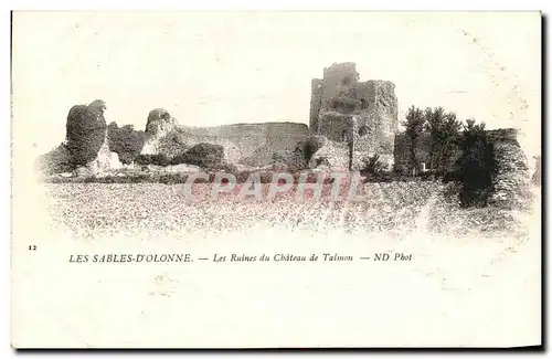 Cartes postales Les Sables D&#39Olonne Les Ruines Du Chateau De Talmon