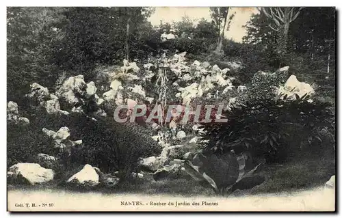 Cartes postales Nantes Rocher du Jardin des Plantes