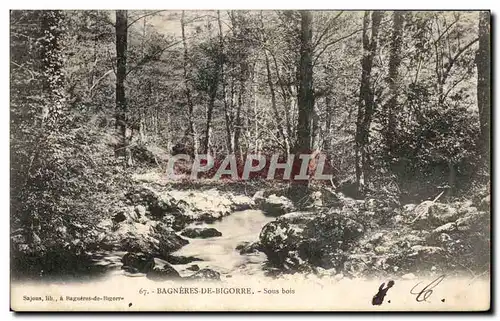 Ansichtskarte AK Bagneres De Bigorre Sous bois