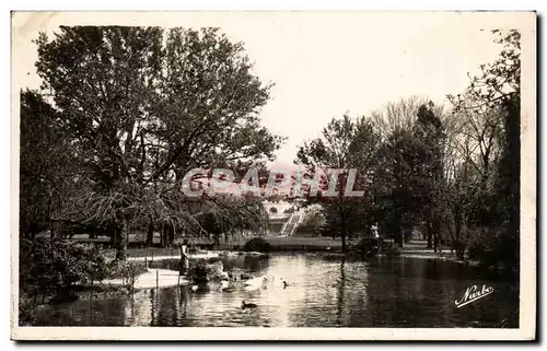 Cartes postales Valence Sur Rhone Le parc Jouvet Les Cygnes