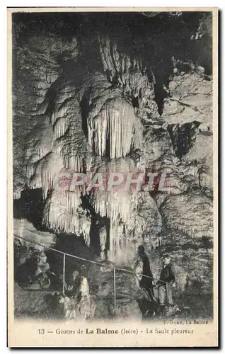 Ansichtskarte AK Grottes De La Balme Le Saule Pleureur