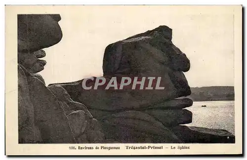 Ansichtskarte AK Environs de Plougasnou Tregastel Primel Le Sphinx