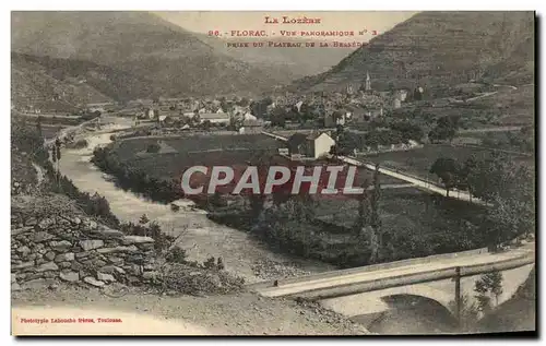 Ansichtskarte AK La Lozere Florac Vue Panoramique Du Plateau De La Bessede