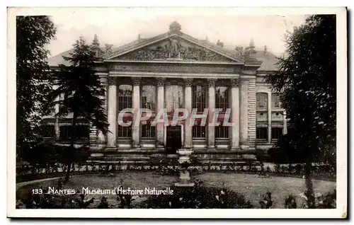 Ansichtskarte AK Nantes Museum d&#39Histoire Naturelle